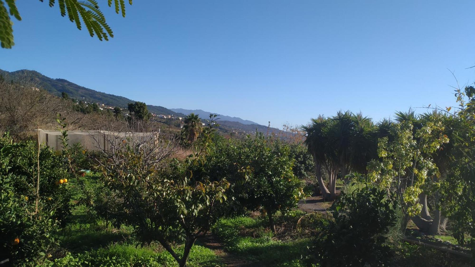 Finca Panorama Tijarafe Luaran gambar