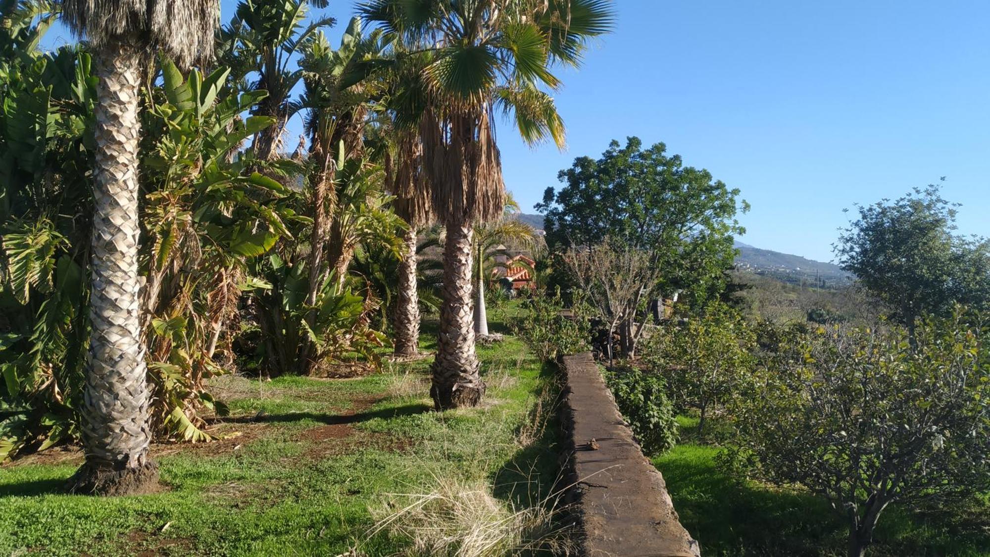 Finca Panorama Tijarafe Luaran gambar
