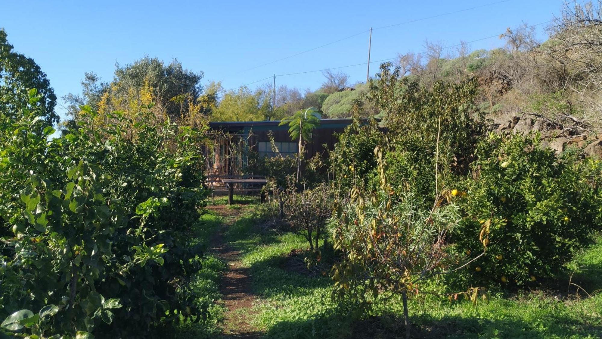 Finca Panorama Tijarafe Luaran gambar